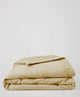 desert sand